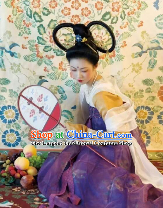 Chinese Tang Dynasty Princess Garments Ancient Young Lady Costumes Classical Dance Hanfu Dress