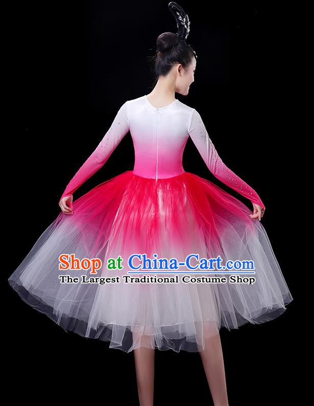 China Stage Show Pink Dress Modern Dance Costume Women Group Chorus Clothing Opening Dance Fashion