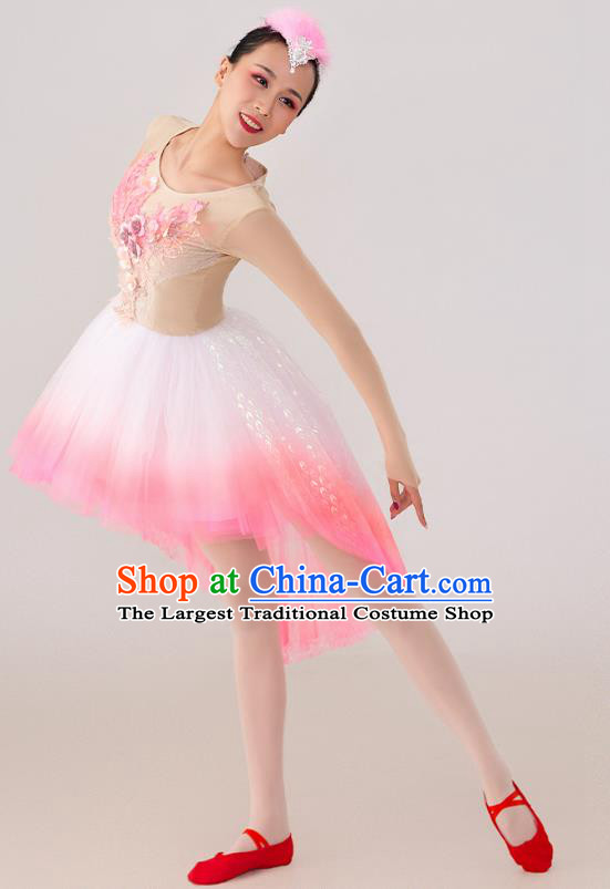 China  Spring Festival Gala Crested Ibises Costume Modern Dance Clothing Dancing Competition Pink Dress