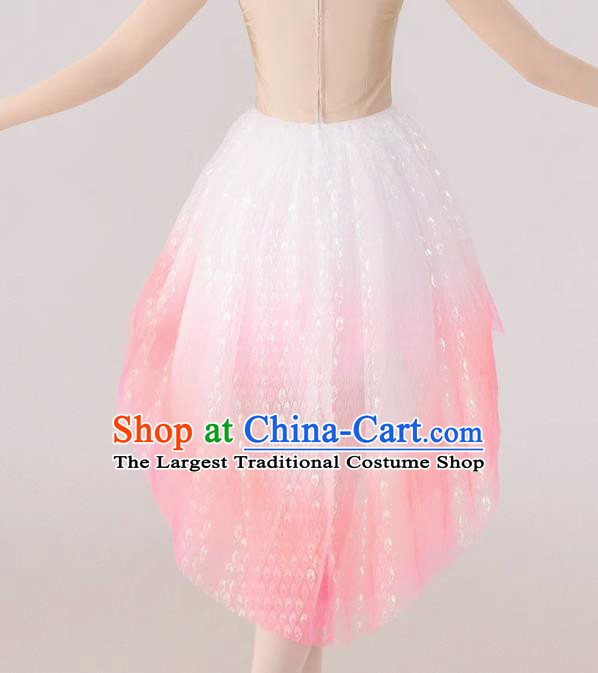 China  Spring Festival Gala Crested Ibises Costume Modern Dance Clothing Dancing Competition Pink Dress