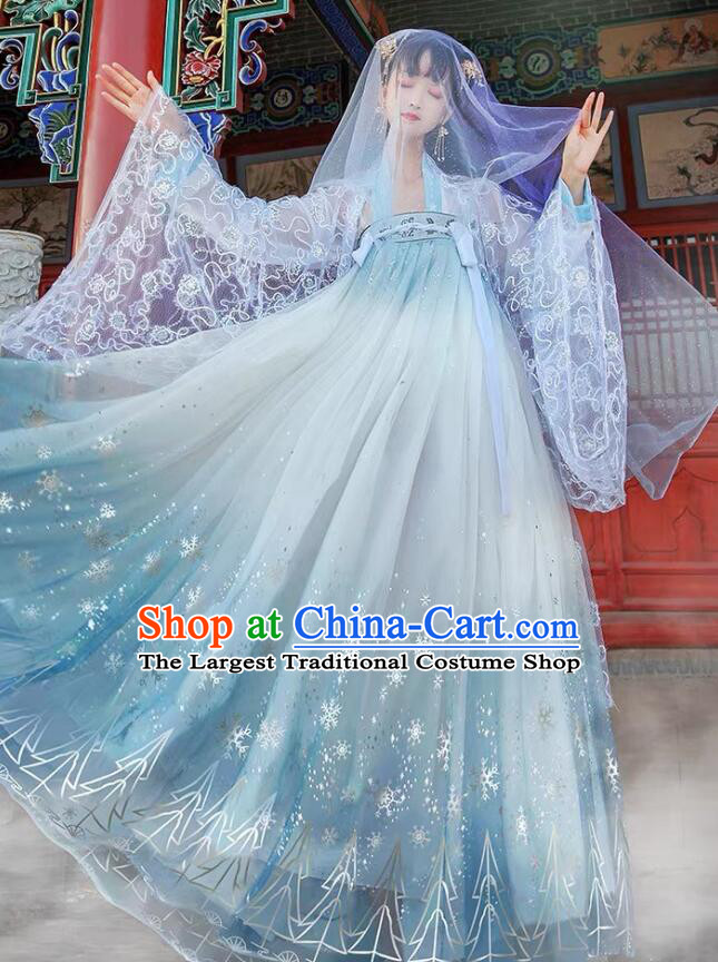 China Tang Dynasty Court Lady Costumes Ancient Princess Clothing Embroidered Blue Hanfu Dresses