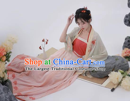China Traditional Female Hanfu Dress Ancient Young Lady Costumes Song Dynasty Embroidered Clothing Complete Set