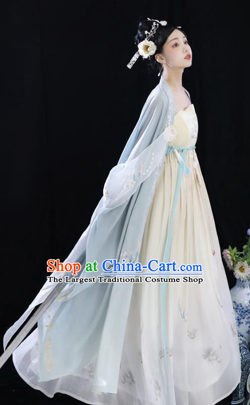 China Embroidered Hanfu Clothing Tang Dynasty Imperial Consort Dresses Ancient Court Woman Garment Costumes