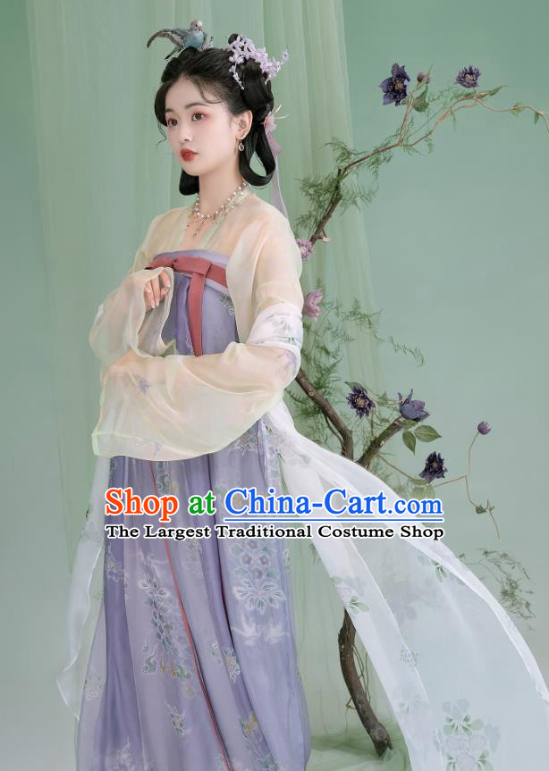 China Ancient Young Lady Dresses Tang Dynasty Court Princess Clothing Traditional Costumes Woman Hanfu