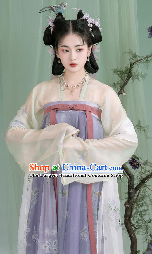 China Ancient Young Lady Dresses Tang Dynasty Court Princess Clothing Traditional Costumes Woman Hanfu