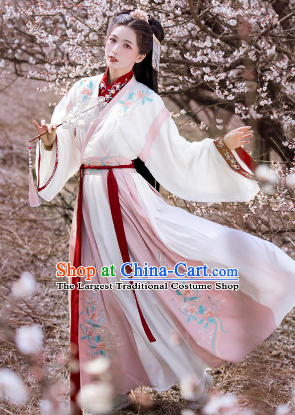 Woman Hanfu China Jin Dynasty Princess Clothing Traditional Female Costumes Ancient Swordswoman Dresses
