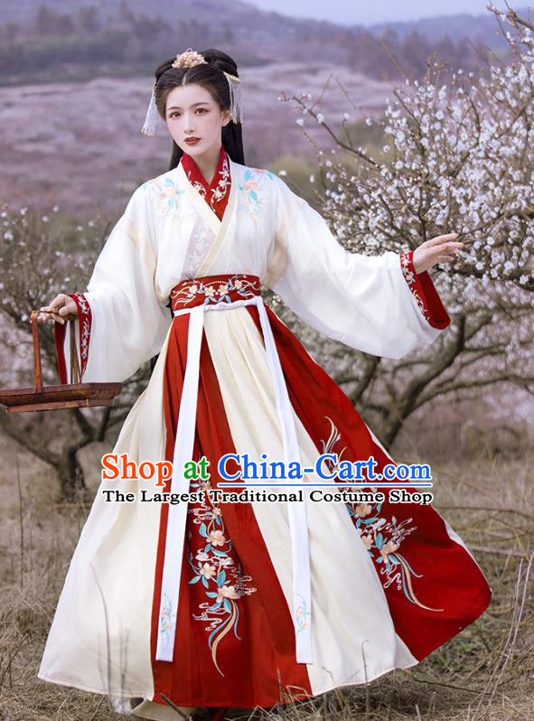 Woman Hanfu China Jin Dynasty Princess Clothing Traditional Female Costumes Ancient Swordswoman Dresses