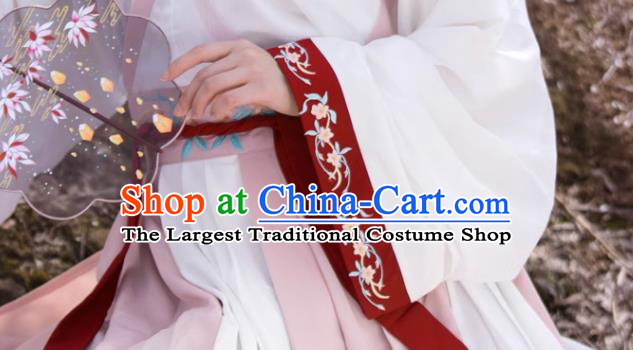 Woman Hanfu China Jin Dynasty Princess Clothing Traditional Female Costumes Ancient Swordswoman Dresses