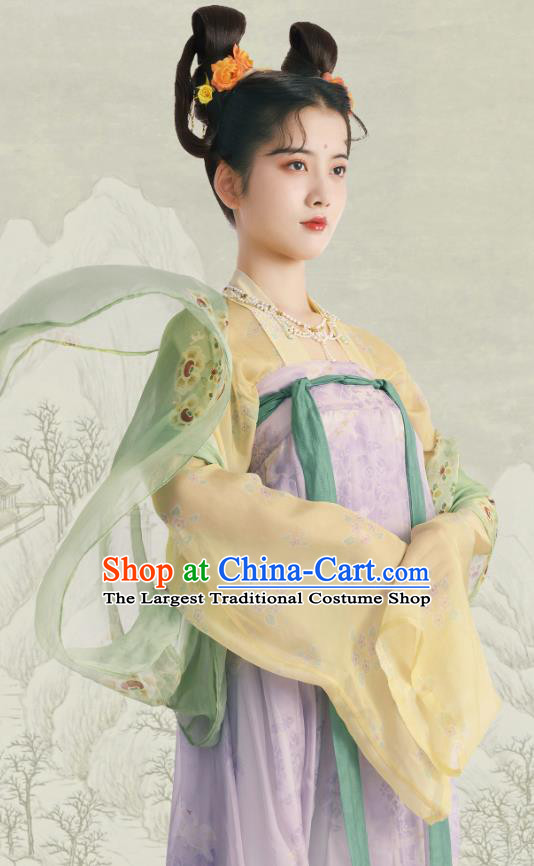Chinese Ruqun Woman Hanfu Tang Dynasty Court Lady Clothing Ancient Princess Dress Costumes