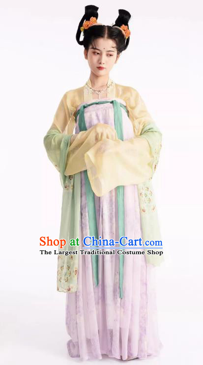 Chinese Ruqun Woman Hanfu Tang Dynasty Court Lady Clothing Ancient Princess Dress Costumes