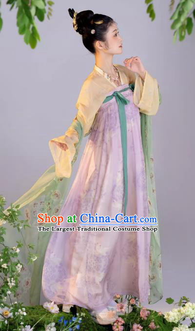 Chinese Ruqun Woman Hanfu Tang Dynasty Court Lady Clothing Ancient Princess Dress Costumes