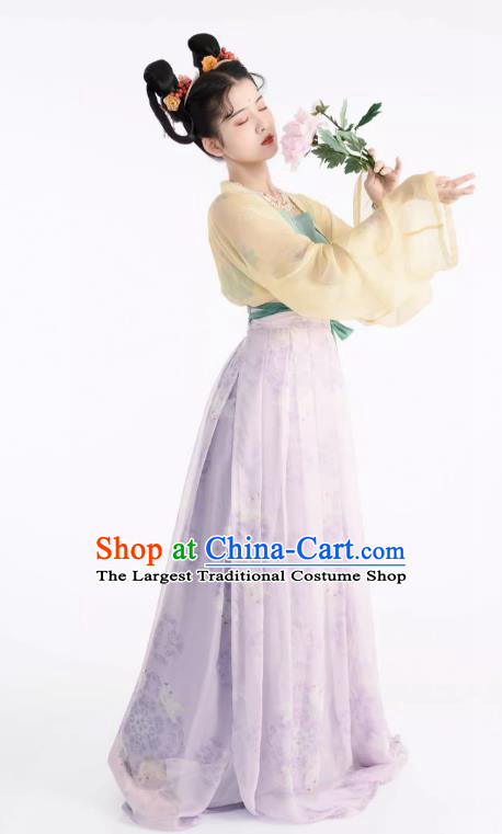 Chinese Ruqun Woman Hanfu Tang Dynasty Court Lady Clothing Ancient Princess Dress Costumes