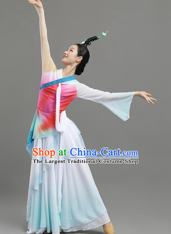 China Classical Dance Landscape Dance Costume Art Examination Adult Performance Clothing Elegant Skirt Female Performance Clothing