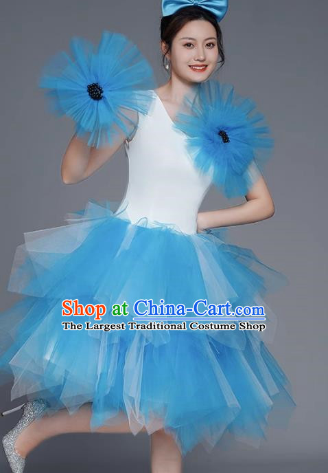 Modern Dance Costumes Fashion Dancer Costumes Opening Dance Costumes Fluffy Chorus Square Dance Dresses