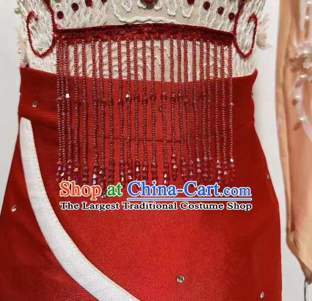 Woman Solo Dancing Clothing Professional Stage Performance Costume China Classical Dance Dress