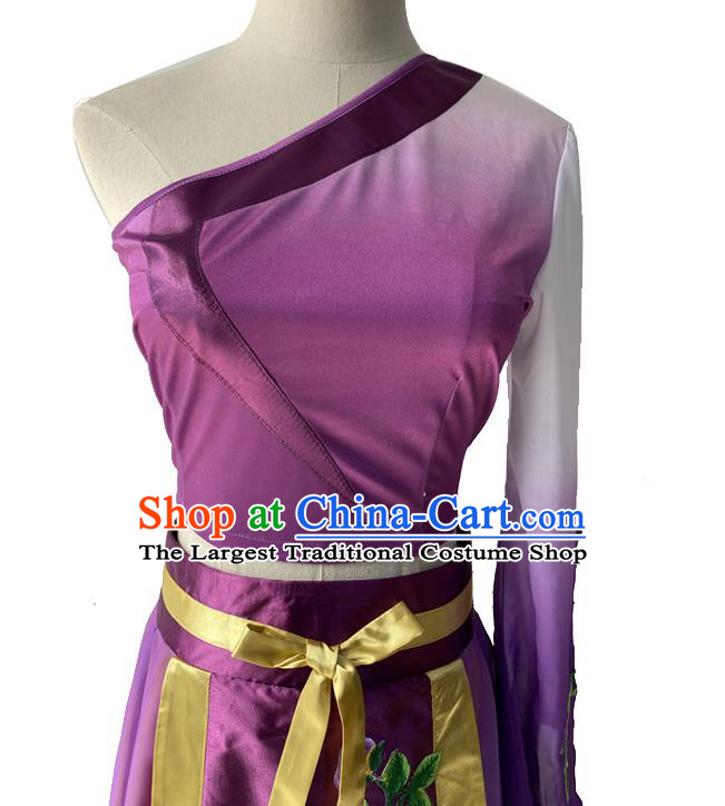 China Classical Dance Purple Dress Woman Stage Performance Costume Taoli Cup Dance Competition Clothing