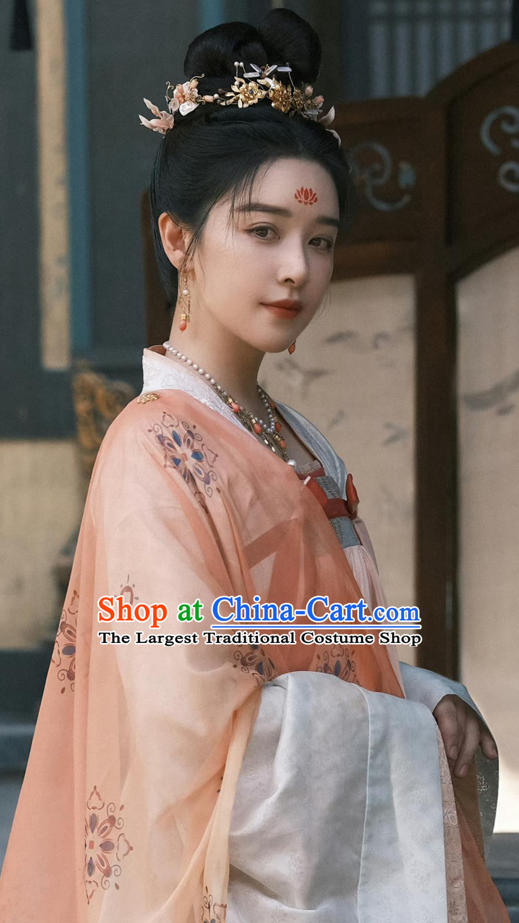 Ancient China Noble Woman Clothing Traditional Chinese Tang Dynasty Female Hanfu Dress TV Series Drama Go East Yuchi Hua Costume