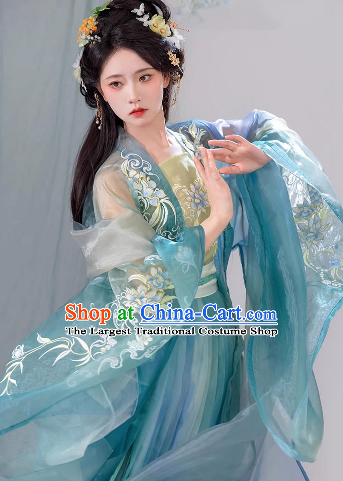 Chinese Song Dynasty Princess Clothing Ancient China Fairy Costume Traditional Blue Hanfu Dress