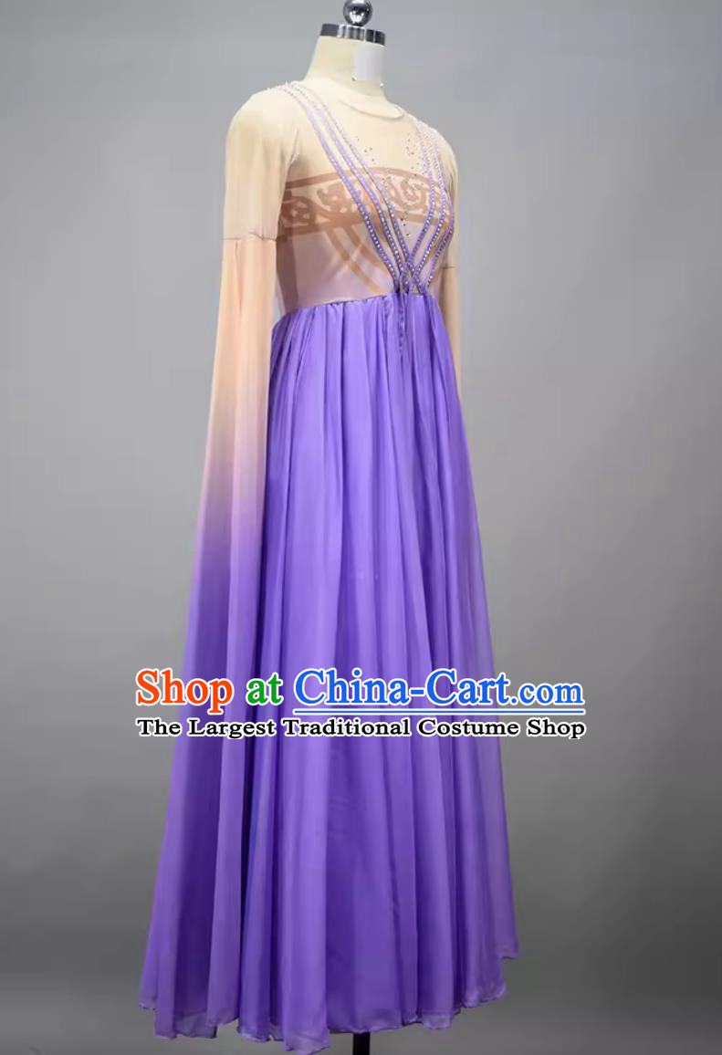 Like A Dream Woman Solo Dance Costume Chinese Classical Dance Clothing Dance Competition Purple Dress