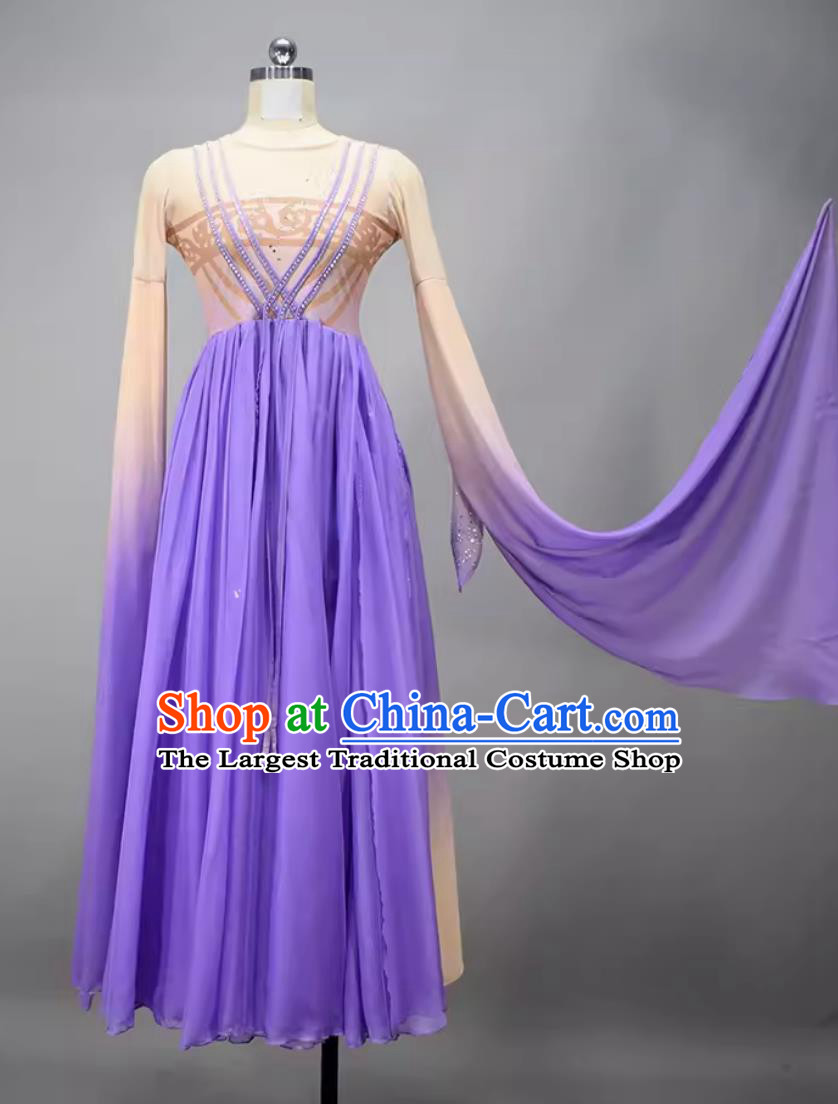 Like A Dream Woman Solo Dance Costume Chinese Classical Dance Clothing Dance Competition Purple Dress