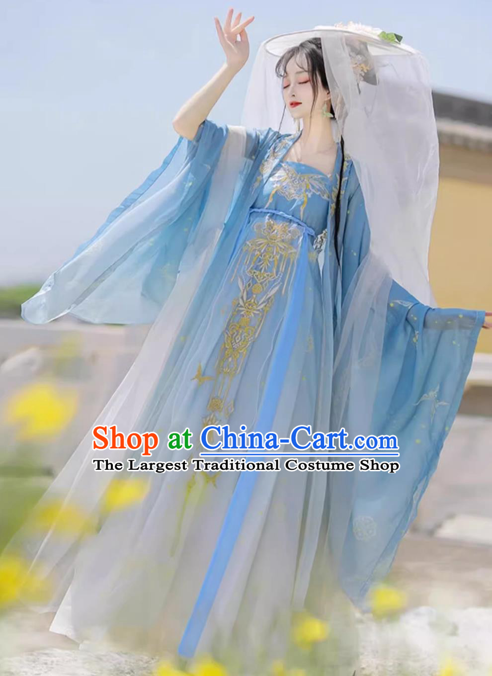 Traditional Chinese Blue Hanfu Dress Ancient China Princess Costume Tang Dynasty Court Lady Clothing