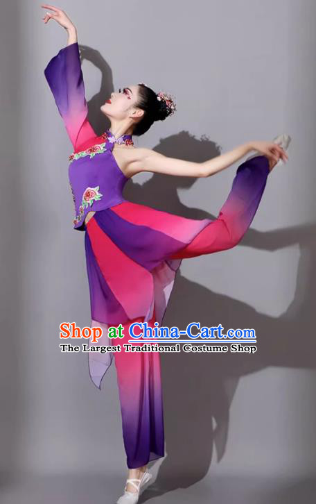 Yangko Costume Female Dance Classical Dance Performance Clothing Lotus Song Yangko Dance Umbrella Dance Fan Dance Outfit