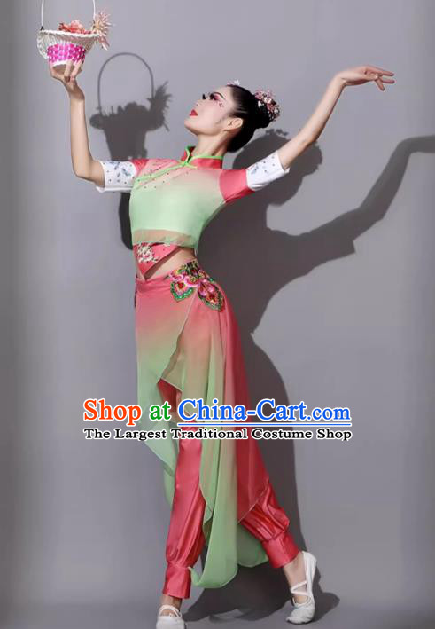 Jiaozhou Yangge Dance Performance Costume Female Chinese Fan Dance Clothing Art Examination Outfit