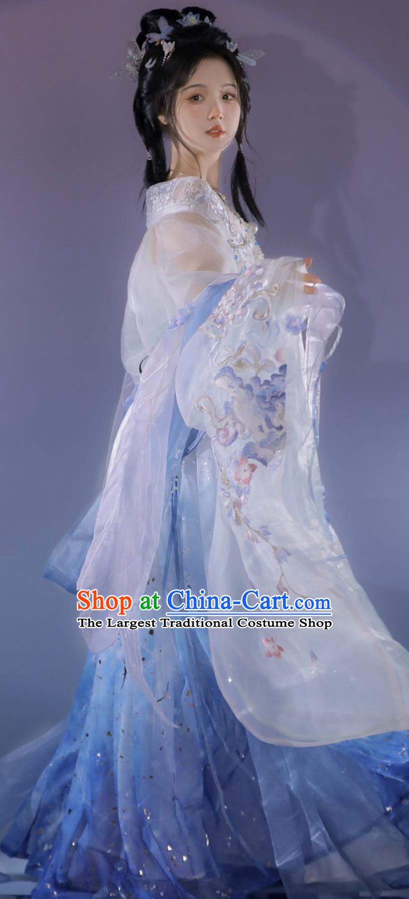 Chinese Southern and Northern Dynasties Palace Princess Costumes Hanfu Online Shop Traditional Ancient Fairy Embroidered Blue Dresses