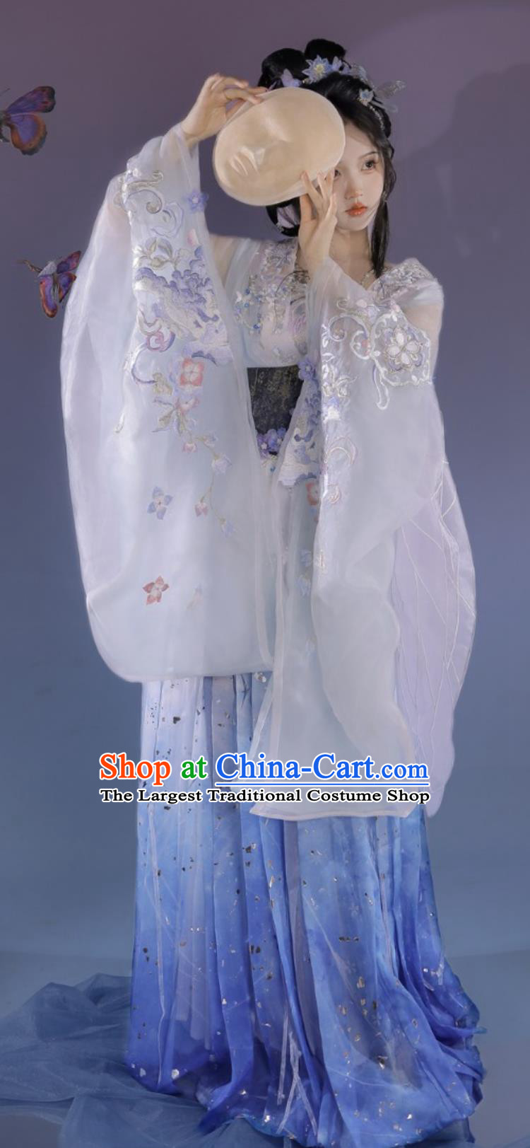 Chinese Southern and Northern Dynasties Palace Princess Costumes Hanfu Online Shop Traditional Ancient Fairy Embroidered Blue Dresses