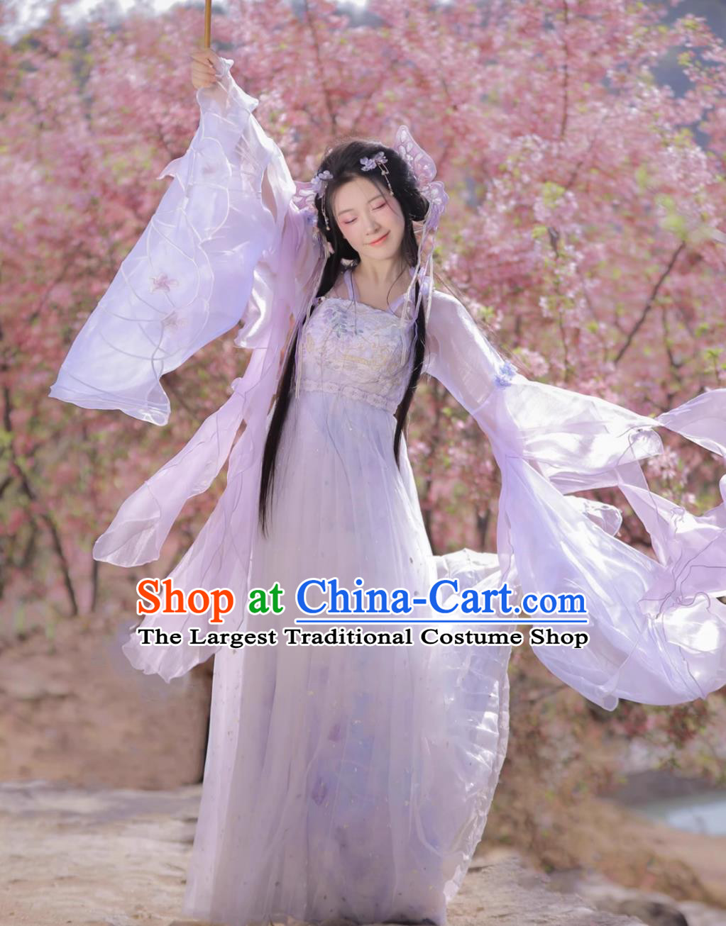 Chinese Southern and Northern Dynasties Princess Clothing Online China Hanfu Shop Ancient Fairy Pink Dresses
