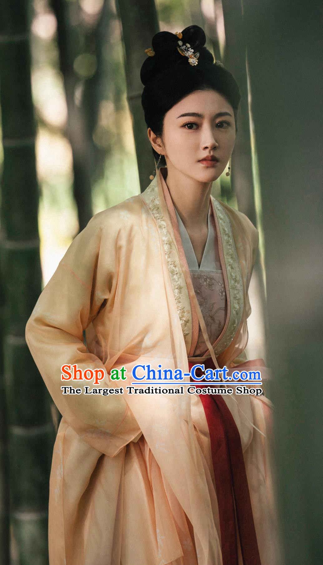 China Ancient Song Dynasty Noble Lady Garment Costumes TV Drama The Legend of Zhuohua Mu Zhuo Hua Dresses