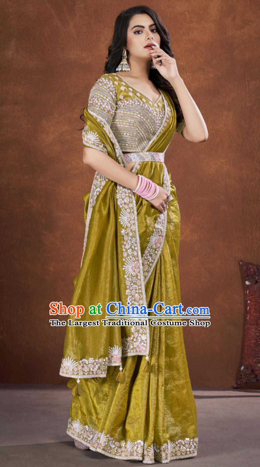 Indian Traditional Women Clothing India Embroidery Ginger Dress Festival Sari National Costume