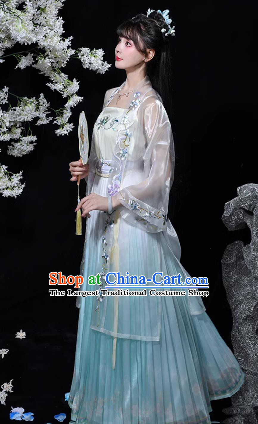 Chinese Song Dynasty Hanfu Ancient Young Lady Embroidered Blue Dress Traditional China Woman Clothing