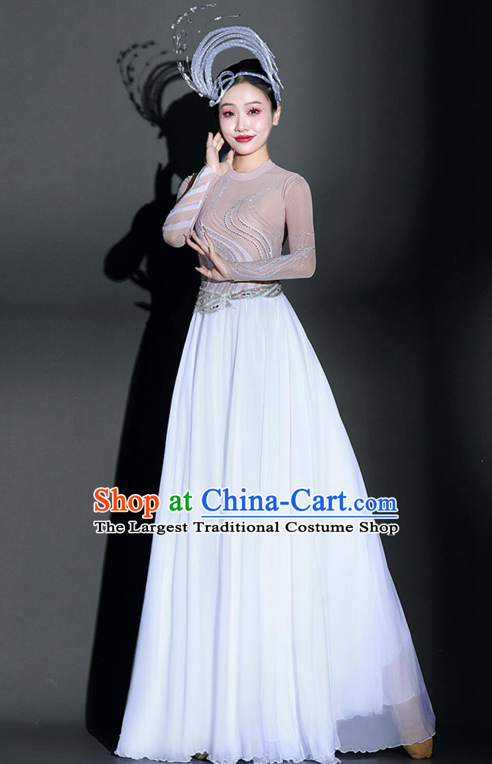Chinese Classical Dance Dress Women Group Dance Costume Traditional Dance Clothing