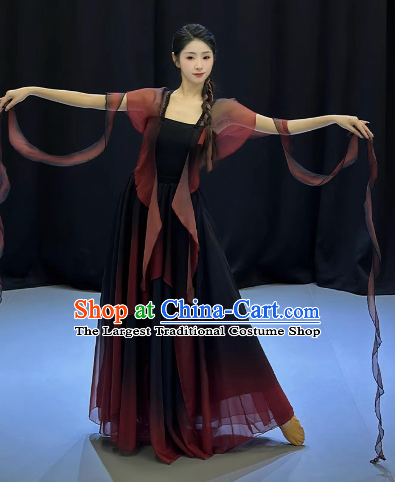 Traditional Chinese Dance Costume Women Solo Dance Clothing Classical Dance Black Butterfly Dress