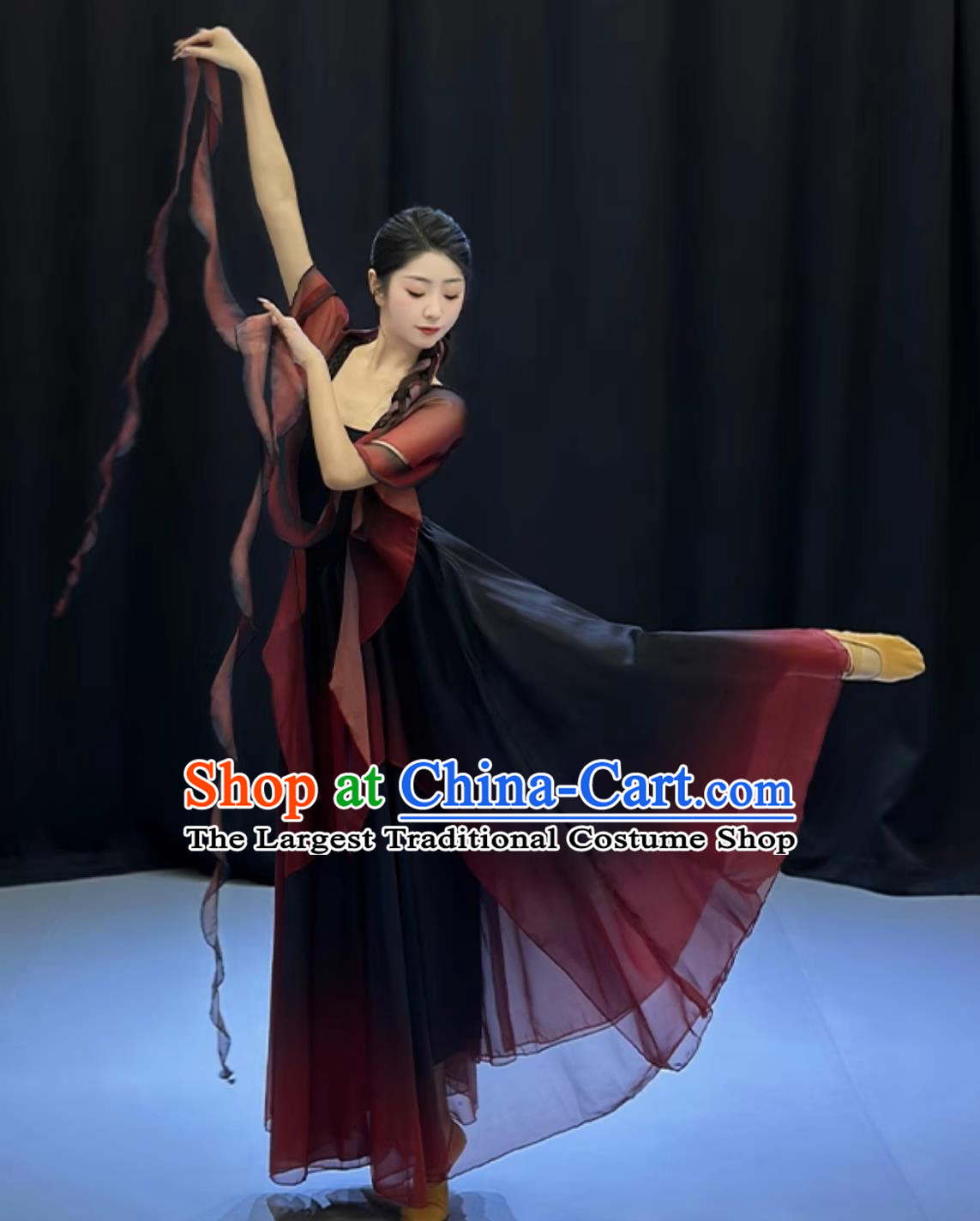 Traditional Chinese Dance Costume Women Solo Dance Clothing Classical Dance Black Butterfly Dress