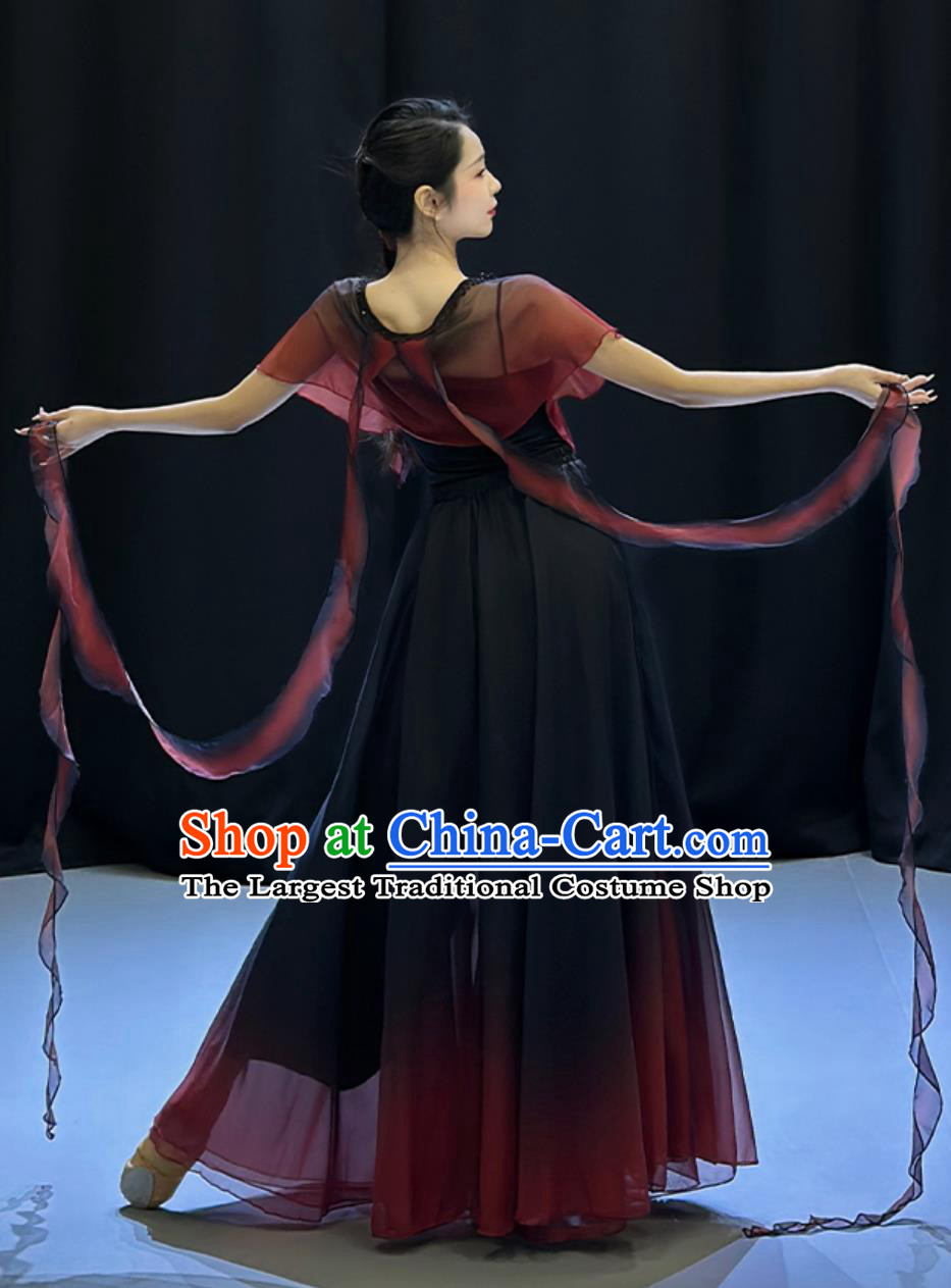 Traditional Chinese Dance Costume Women Solo Dance Clothing Classical Dance Black Butterfly Dress