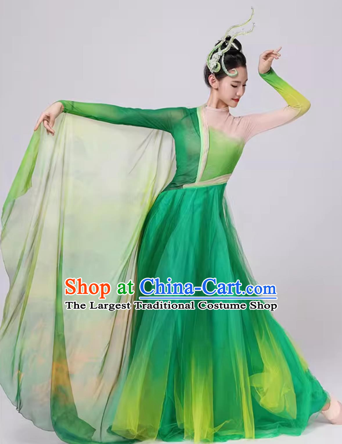 China Classical Dance Costume Ta Ge Xing Women Group Dance Clothing Chinese Spring Festival Gala Stage Performance Green Hanfu Dress