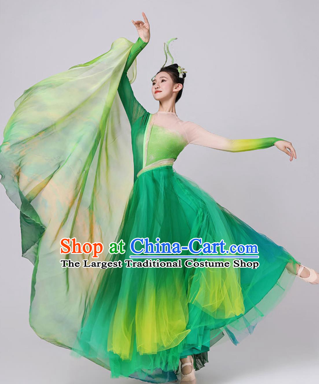 China Classical Dance Costume Ta Ge Xing Women Group Dance Clothing Chinese Spring Festival Gala Stage Performance Green Hanfu Dress