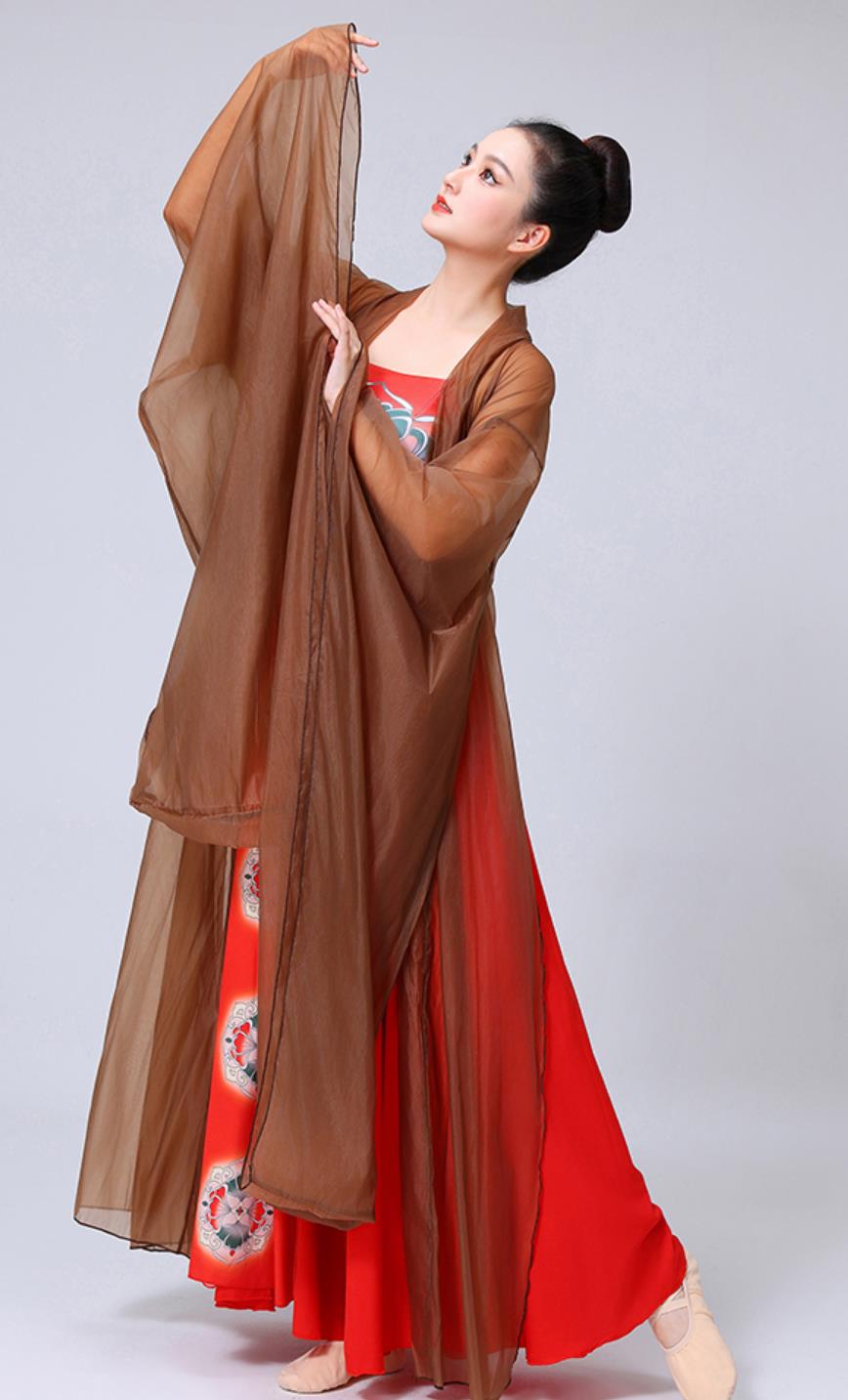 Lady With Hairpin Painting Dance Costume Chinese Han Tang Dynasty Dance Clothing Classical Dance Performance Hanfu Dress and Da Xiu Shan