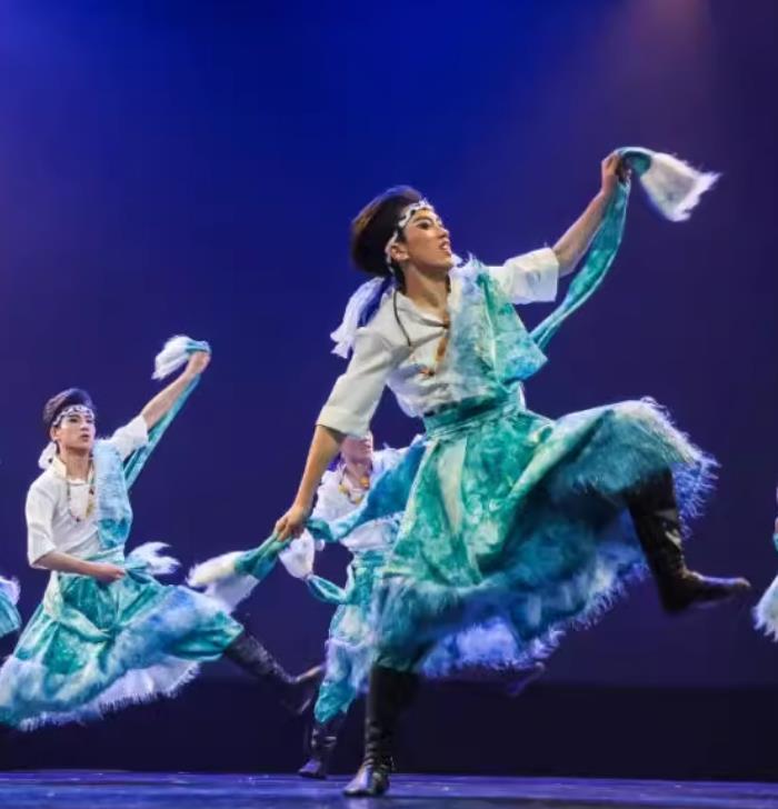 Tibetan Dance Performance Costume Men Sons Of The Snow Tibetan Group Dance Clothing Chinese Zang Ethnic Minority Dance Attire