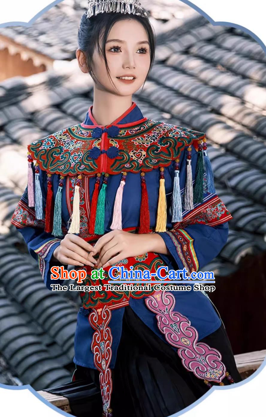 Chinese Dong Ethnic Costume Women Guizhou Minority Embroidered Attire Folk Dance Performance Gown