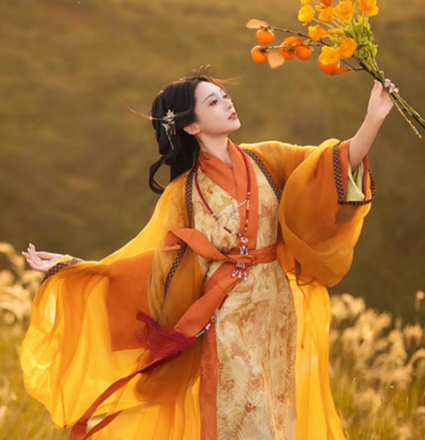 Yellow Warring States Robe Women Hanfu Chinese Wide Sleeve Gown Wei Jin Southern Northern Dynasties Costume