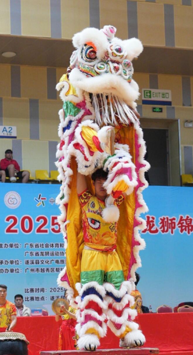 Chinese Fut San Lion Dance Rainbow Costumes Dancing Lion Equipment Handmade White Fur Lion Head Complete Set