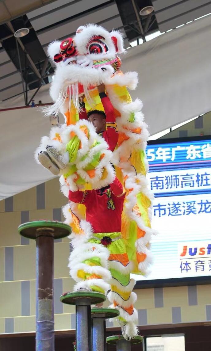 Handmade White Wool Lion Dance Head Traditional Chinese Dancing Lion Equipment Clothing Fut San Rainbow Lion Dance Costume