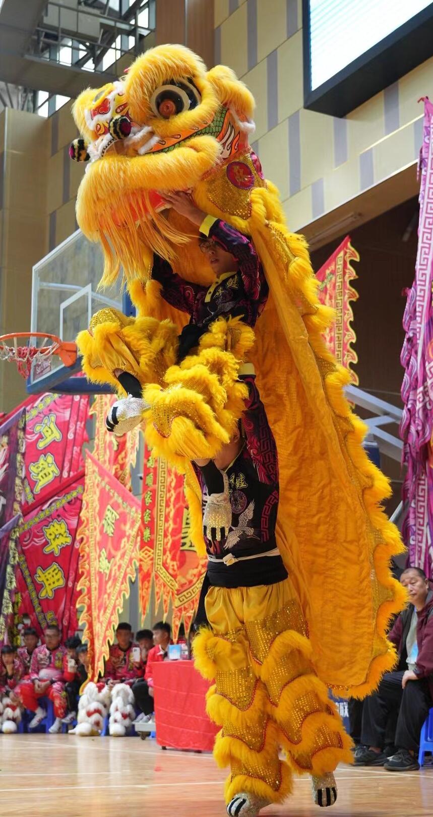 Handmade Fut San Lion Dance Costume Golden Wool Lion Dance Head Traditional Chinese Dancing Lion Equipment Clothing