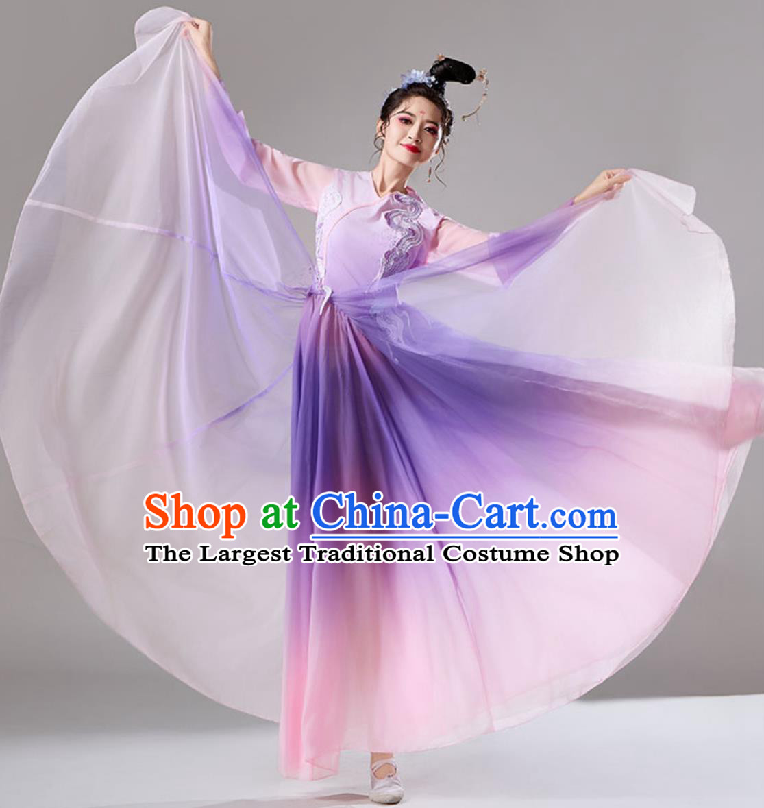 Classic Dance Performance Costume Women Elegant Chinese Ancient Style Purple Dance Dress