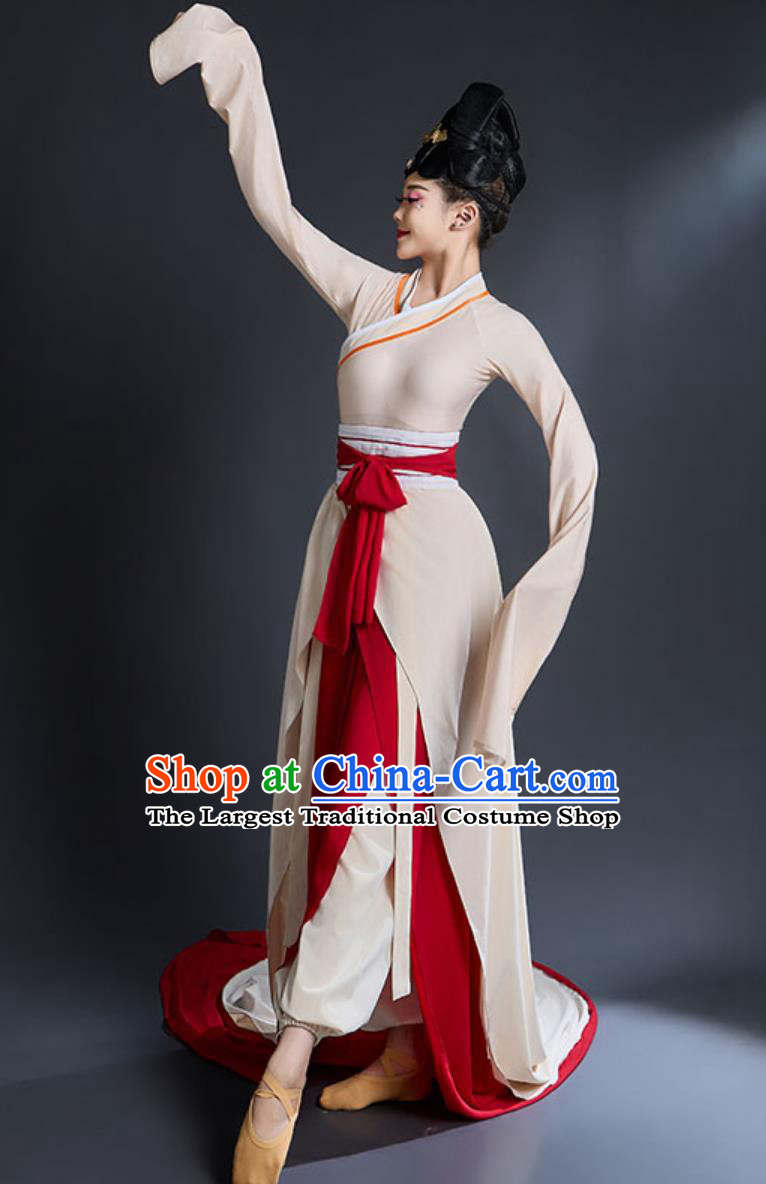 Women Chinese Style Elegant Han Tang Dance Clothing Classic Dance Performance Costume Water Sleeve Dance Training Dress