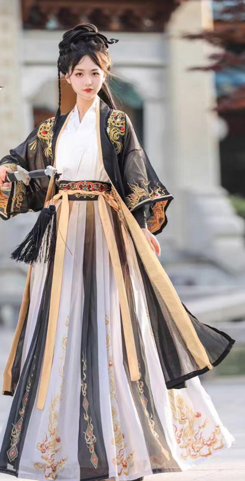 Chinese Song Dynasty Hanfu Traditional Wuxia Costumes Embroidery Swordswoman Clothing