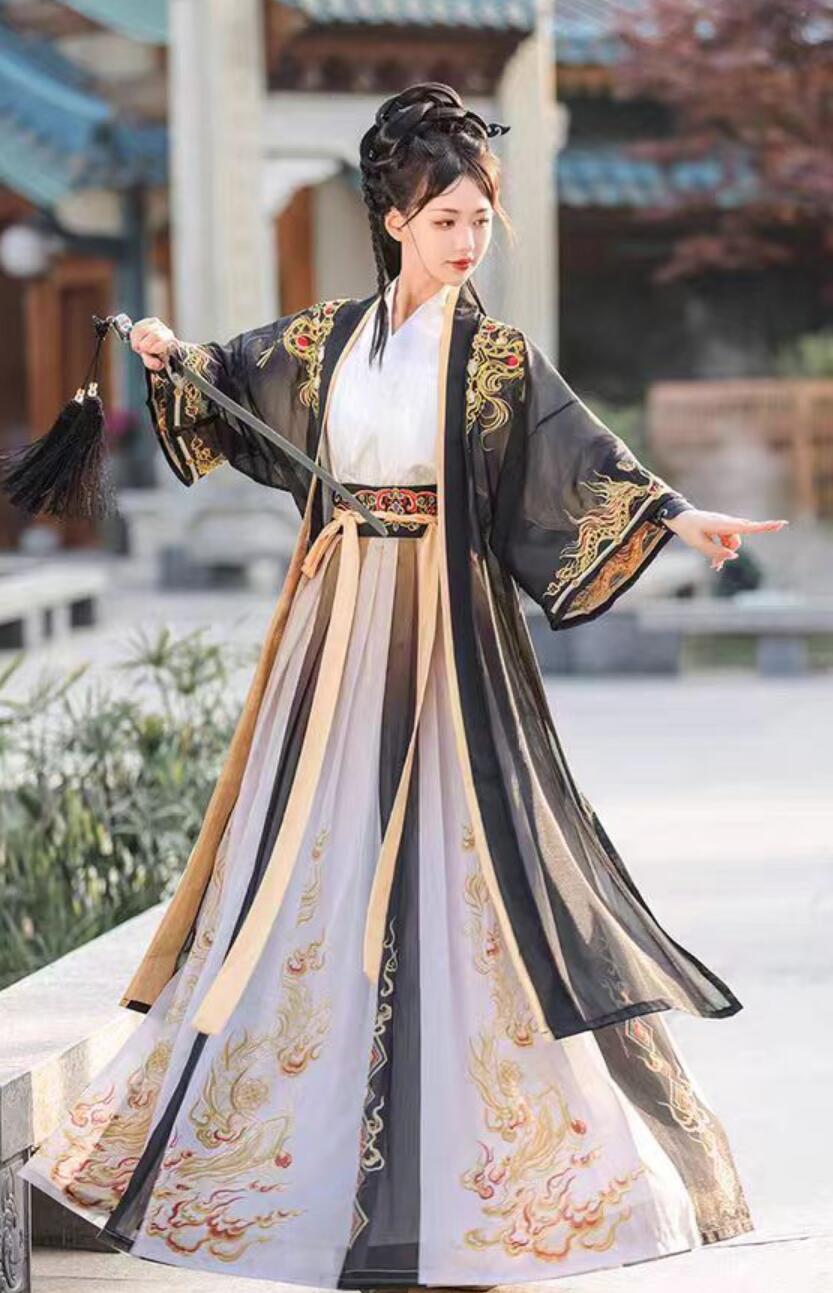 Chinese Song Dynasty Hanfu Traditional Wuxia Costumes Embroidery Swordswoman Clothing